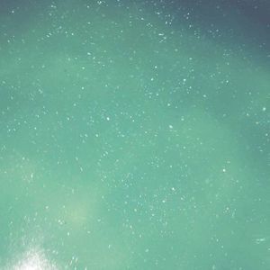 Meet your Posher, Lucy